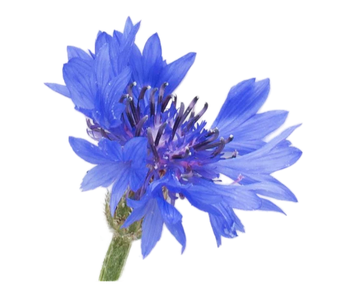 Агроусадьба в Беларуси