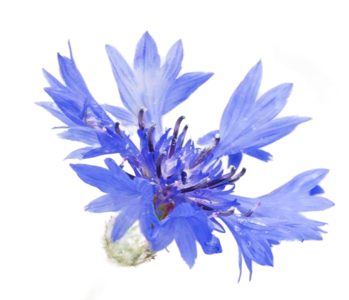 Агроусадьба на сутки